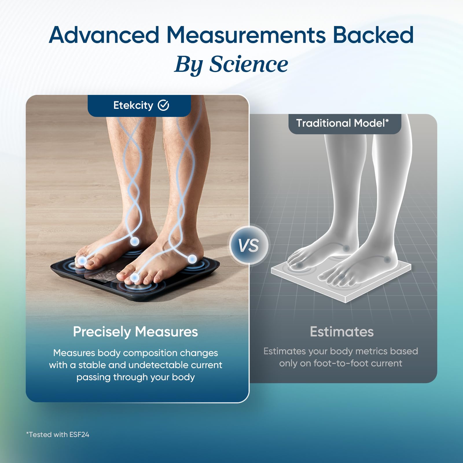 Etekcity Smart Body Weight & Composition Scale